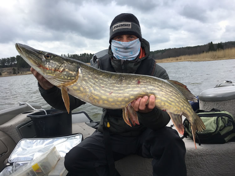 Pike